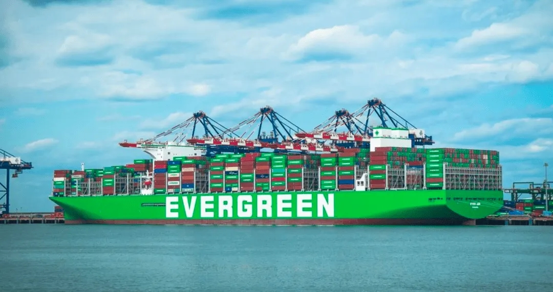 ca441773-0bfc-4c4b-add5-d66381546d80